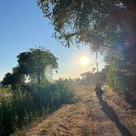 Agriturismo Hornos Numana Ngoại thất bức ảnh