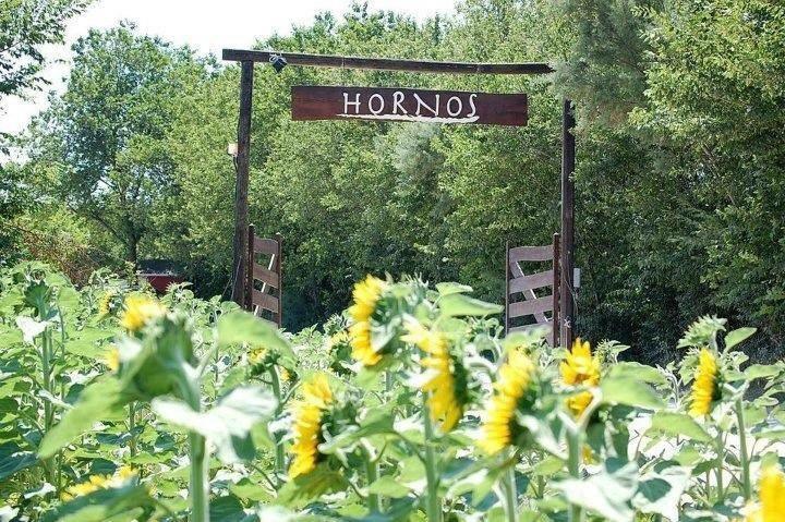 Agriturismo Hornos Numana Ngoại thất bức ảnh